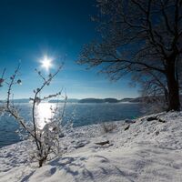 Talsperre Pöhl im Winter