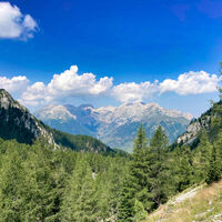 Alpe Lusia - Le Cune - Sas da Mesodì - Valbona - ©Archivio S.i.f. Impianti Funiviari Lusia S.p.a.