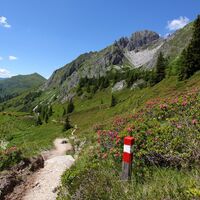 Abstieg zu den Draugsteinalmen