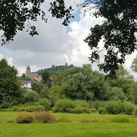 Efze wiesen