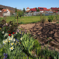 Frankenroda vom Steinweg aus