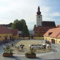 Lipizzanergestüt Piber: Gestütsinnenhof