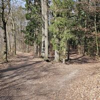 5.2 km Links halten am Fuchs Kreuz
