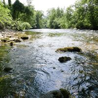 Das Wasser legt in der Ager 34km zurück