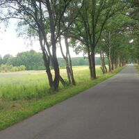 Ruhige Verbindungsstraße zwischen Müssingen und Thielitz