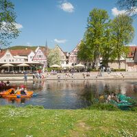 Der Stadtpark Kleb im Sommer mit Tretbooten auf der Nagold