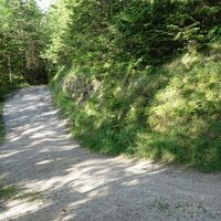 Abstieg Bürgeralm