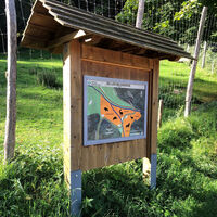 Spaziergang "Wildgehege" in Zell im Wiesental