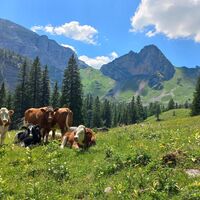 Sulzkaralm