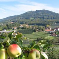 Apfelstraße_ Puch bei Weiz_Oststeiermark