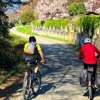 in der Nähe von Castagneto Po