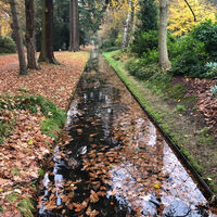 Forstgarten im Herbst