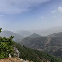 "Öhler" am Weg zum "Schober"