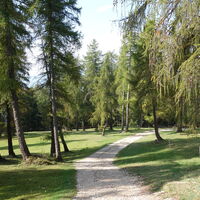 am Weg zum Felixer Weiher