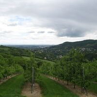 Klosterneuburg - Scheiblingstein - Neuwaldegg