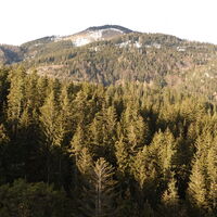 Ausblick zur Jochart