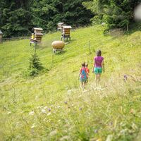 Der zerstreute Hirte