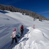 Winterspass in Steg