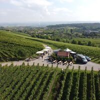 Weinausschank am Michaelsberg | Weingärtner Cleebronn-Güglingen | HeilbronnerLand