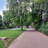 Kastanienwall
