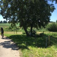 Rundweg am Seeburger See