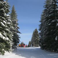 Wechsel-Panoramaloipe