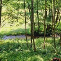 Vom Graf-Rhena-Weg hat man die Alb im Blick