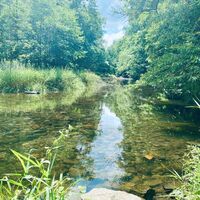 Mulderadweg -entlang der Freiberger Mulde