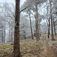 Aufstieg zum Toten Berg