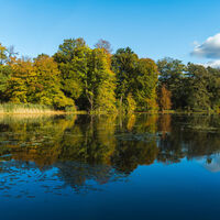Mühlenteich in Lünzen