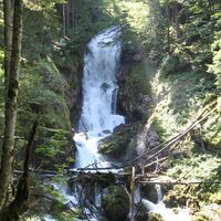 Winnerfall