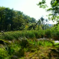 Blick auf Doline am Moselsteig