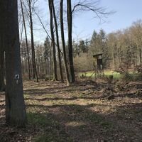 Nähe Lanzenbrunner Weiher