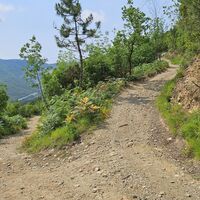 4.8 km An der Gabelung rechts nach Campo Ferrato
