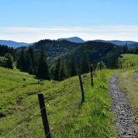 Wanderweg an der Gisibodenalm