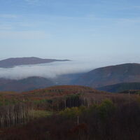 Ausblick beim Hochstand