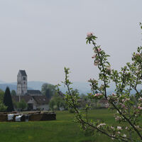 Laufenburg 8