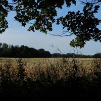 Lobau/Lobgrund - Groß Enzersdorf