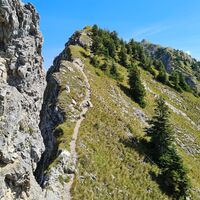 Weg beim Feigenkopf
