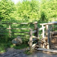 06 Station 2 - Bodenprofil