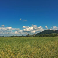 Blick auf das Schloss Ortenberg