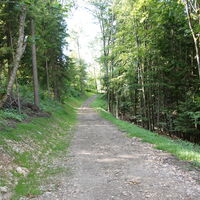 am Rückweg ost-, nordseitig um die Ruine
