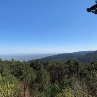 Ausblick vom Hohe Loog Haus