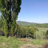 Ausblick vom Kaargebirge zum Stradnerkogel