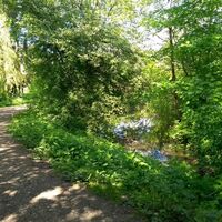 Mühlenteiche in Ende