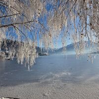 20260117_Spaziergang am Zeller See_4_CE (C) Zell am See-Kaprun.jpeg