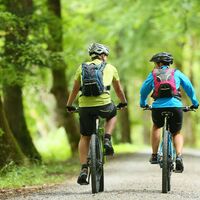 Fahrradverleih und E-Bike-Ladestationen in Bad Herrenalb