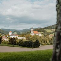 Blick auf Waldhausen