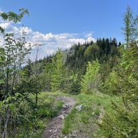 Pfannstein-Trail - Micheldorf