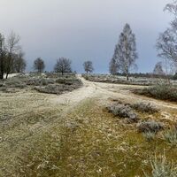 Die Trupbacher Heide in Winterstimmung